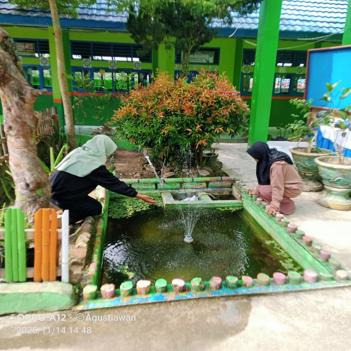 Siswi MTsN 6 Kerinci Temukan Ketentraman dengan Bermain di Kolam Ikan Madrasah