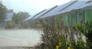 Hujan Lebat Membasahi MTs N 6 Kerinci Setelah Sekian Lama Panas Terik Hujan Lebat Membasahi MTs N 6 Kerinci Setelah Sekian Lama Panas Terik