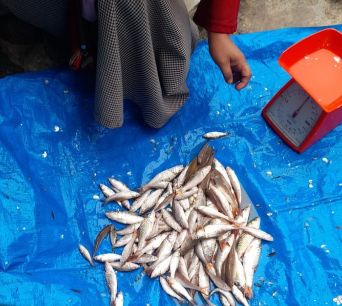 Guru dan Tata Usaha MTs N 6 Kerinci galakkan ekonomi Masyarakat