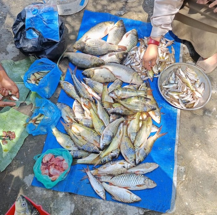 Ikan Segar Dagangan Masyarakat Ludes Terjual di MTsN 6 Kerinci