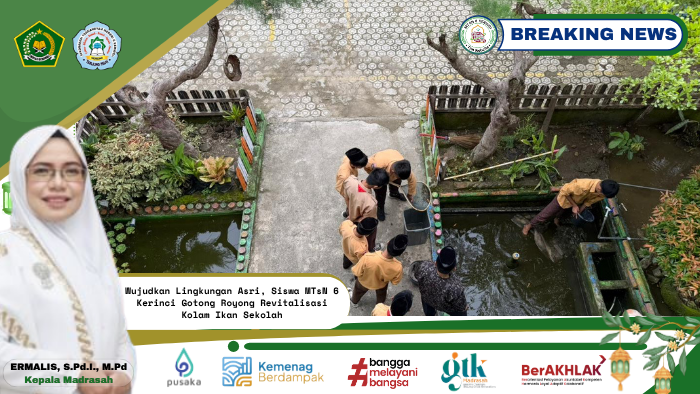 Wujudkan Lingkungan Asri, Siswa MTsN 6 Kerinci Gotong Royong Revitalisasi Kolam Ikan Sekolah