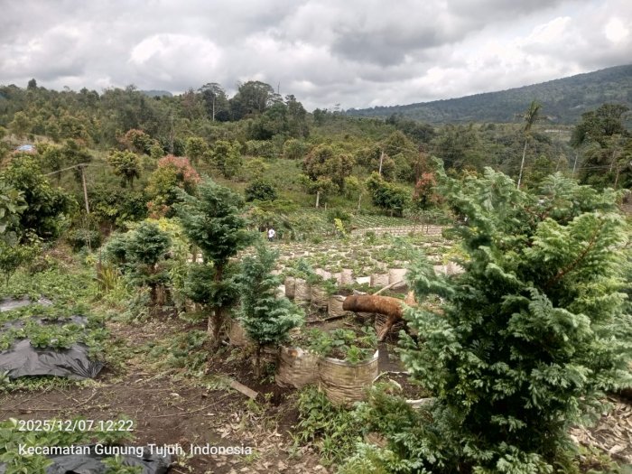 PTK MTsN 6 Kerinci Nikmati Keseruan Memetik Stroberi dan Menyaksikan Keindahan Alam