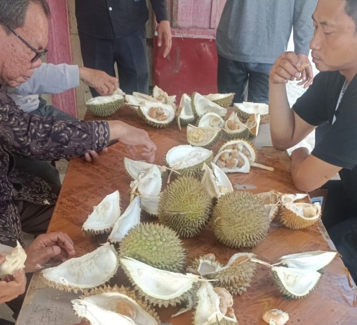 Kebersamaan Manis di Akhir Pekan, H. Amri Daran, S.Pd Traktir PTK MTsN 6 Kerinci Makan Durian Sampai Puas