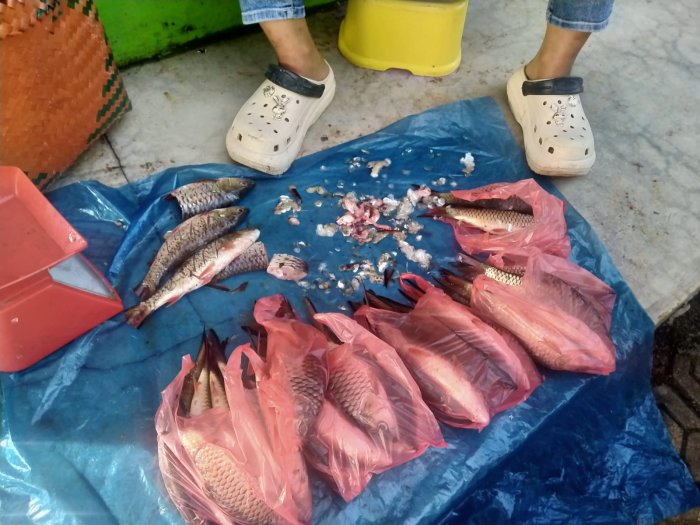 Gotong Royong Ekonomi: Guru dan Karyawan MTsN 6 Kerinci Aktif Dukung Lariskan Dagangan Masyarakat Sekitar